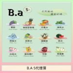 B.A 5代主機煙彈電子煙一盒三顆