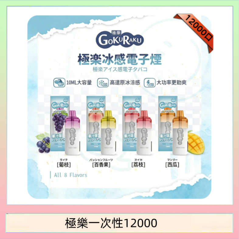 【8種口味】極楽 12000口一次性電子煙|超大容量 |口感絲滑|新品